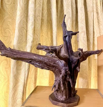 Natural wood sculpture