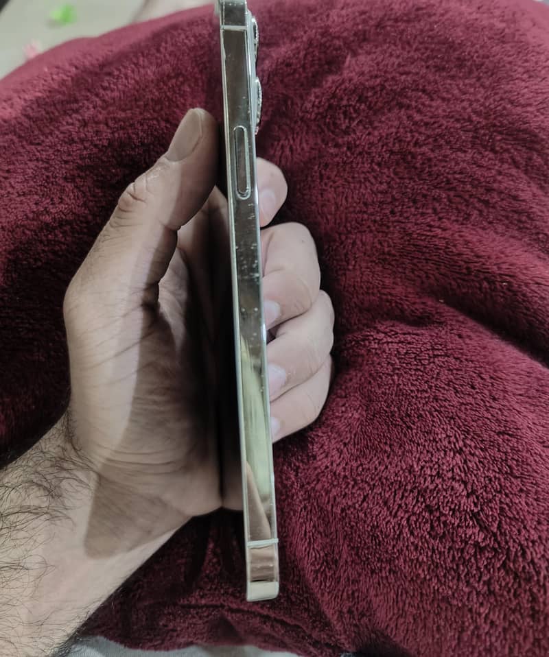 Apple iPhone 13 Pro Max 3