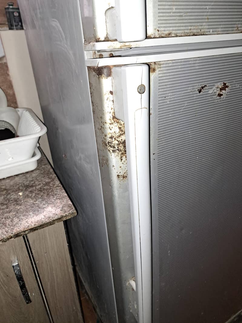 Refrigerator 4