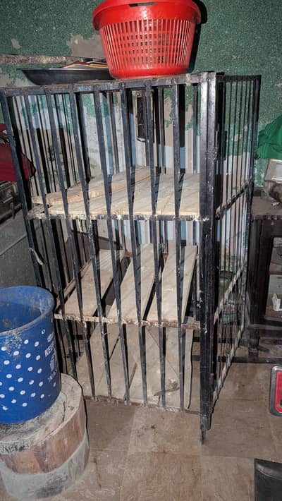 Pinjra Cage for sale murgi chicken