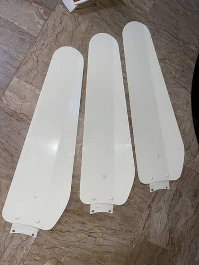 1 month used