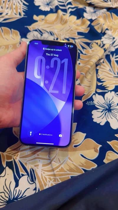 Apple iPhone 12 Pro Max
