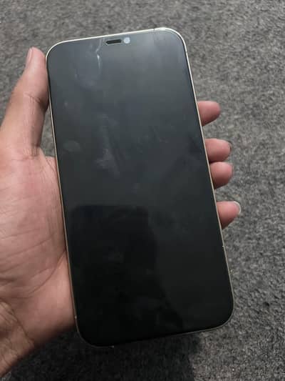 Apple iPhone 12 Pro Max