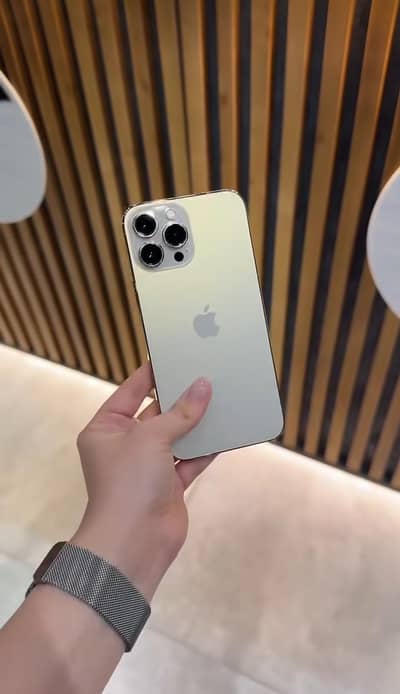 Apple iPhone 13 Pro Max