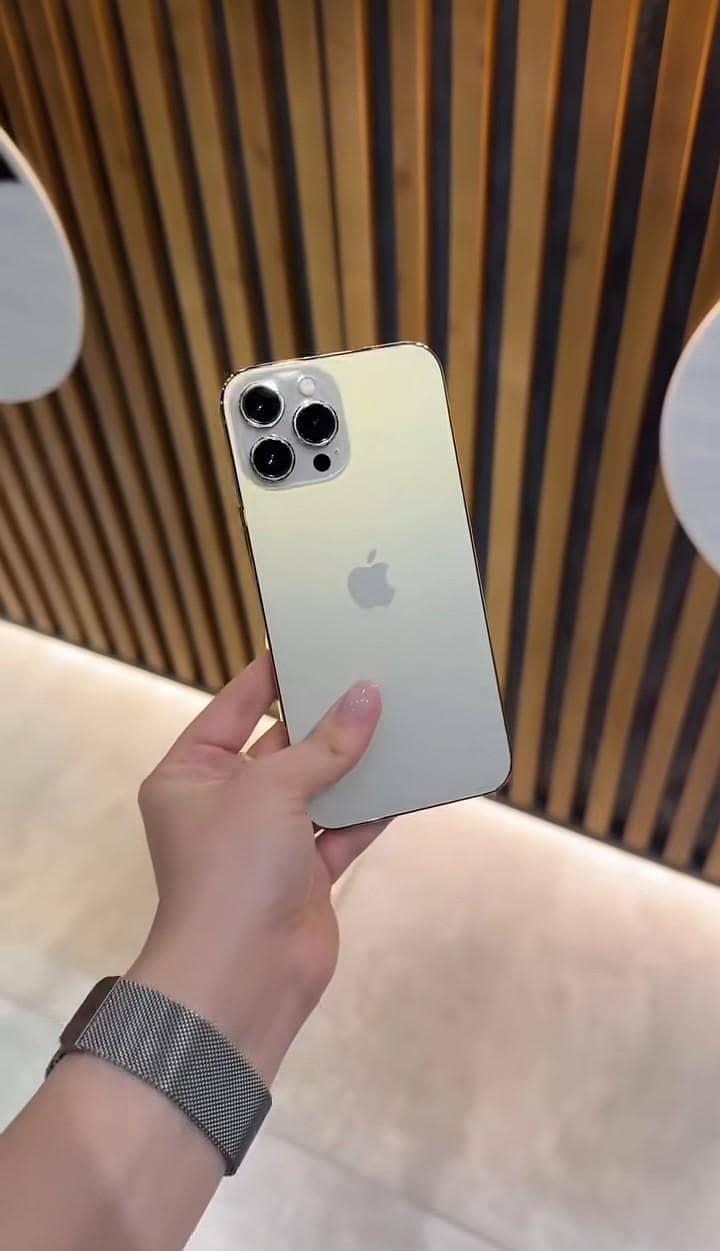 Apple iPhone 13 Pro Max 0