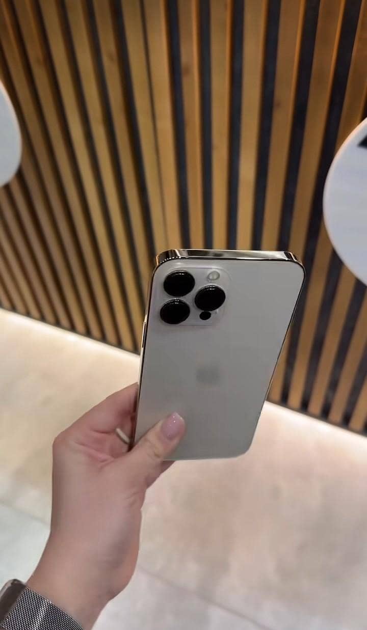 Apple iPhone 13 Pro Max 1