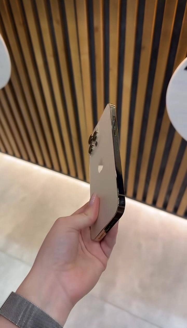 Apple iPhone 13 Pro Max 2