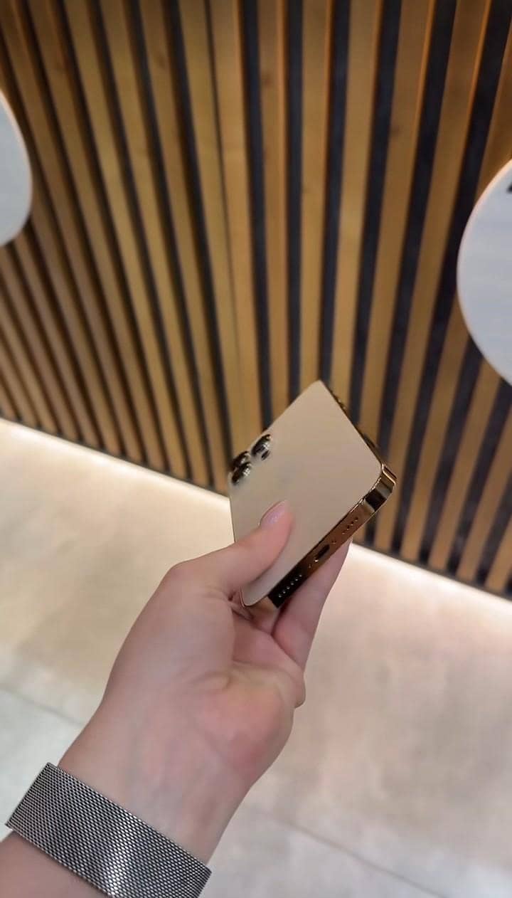Apple iPhone 13 Pro Max 3