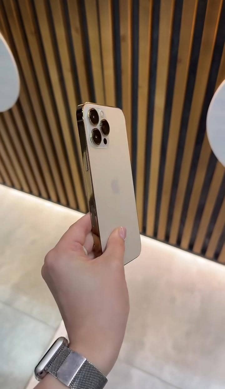 Apple iPhone 13 Pro Max 4