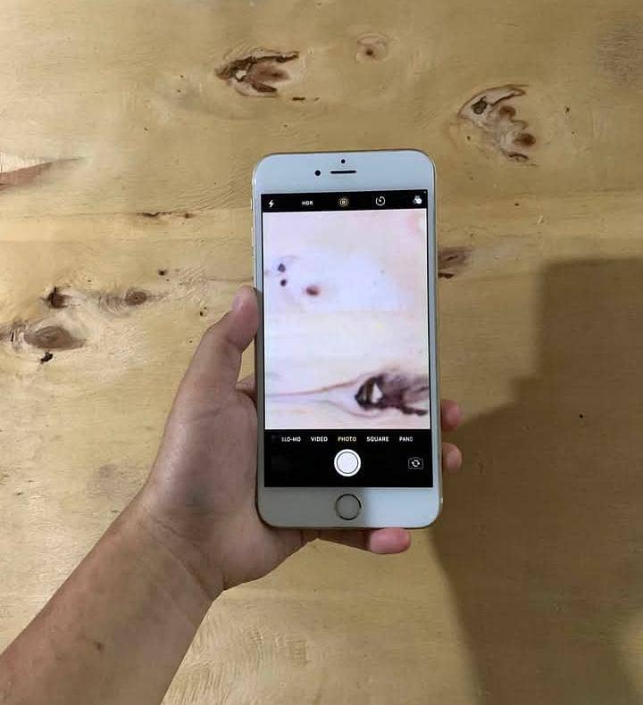 Apple iPhone 6S 2
