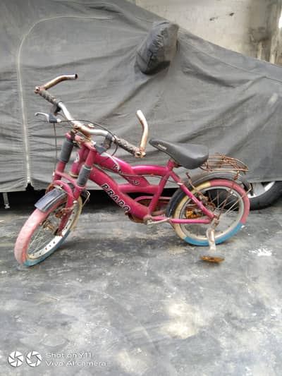 kids bicycle for sale