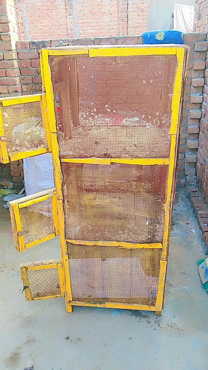 pigeon cage — photo 3