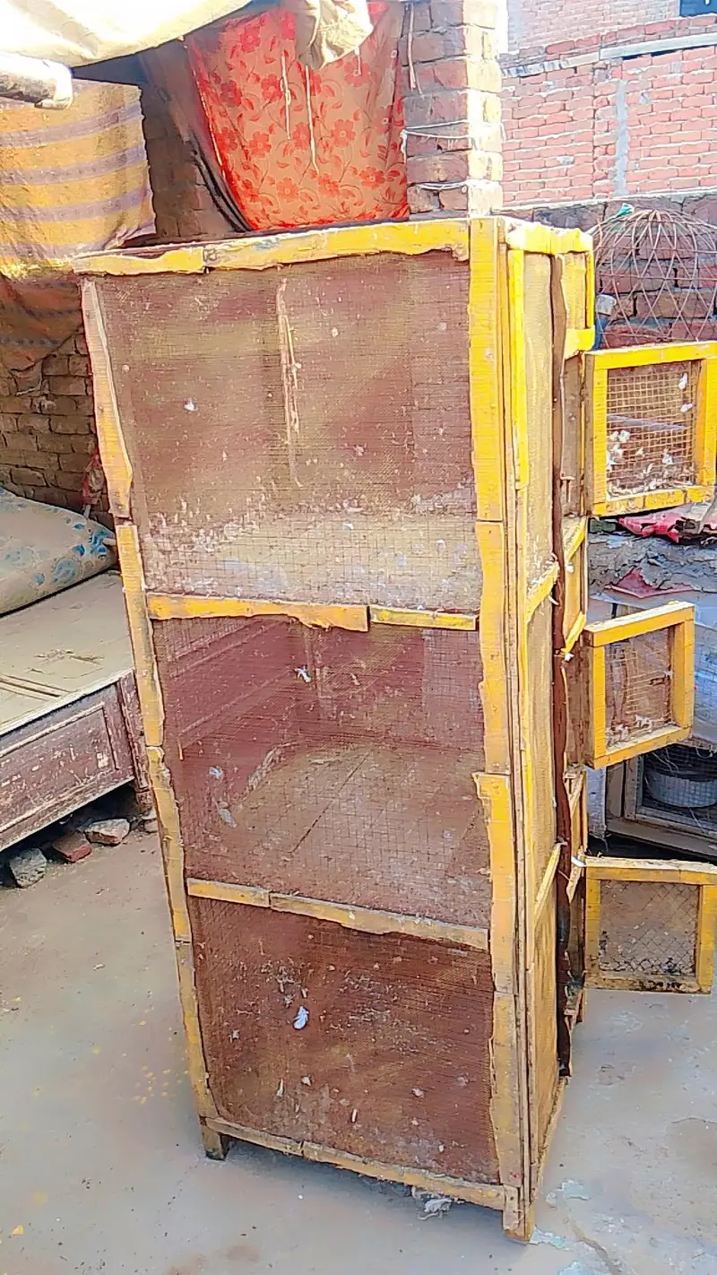 pigeon cage — photo 4
