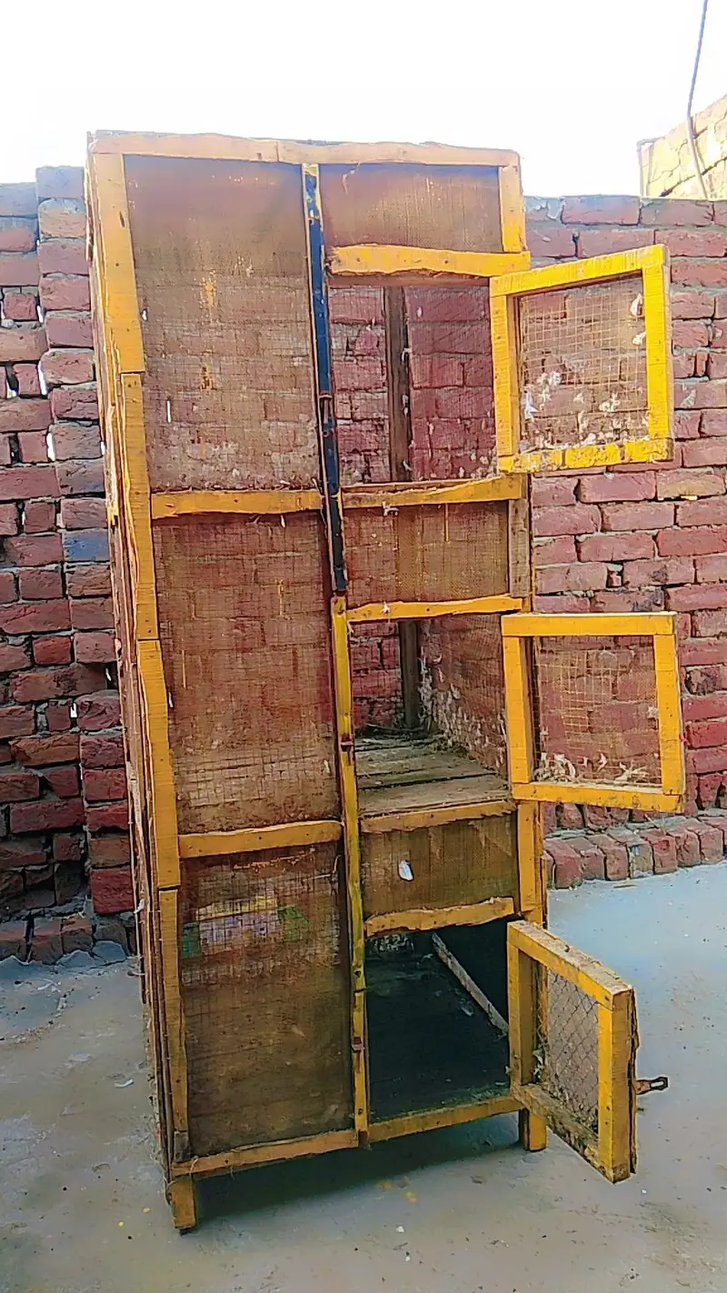 pigeon cage — photo 5