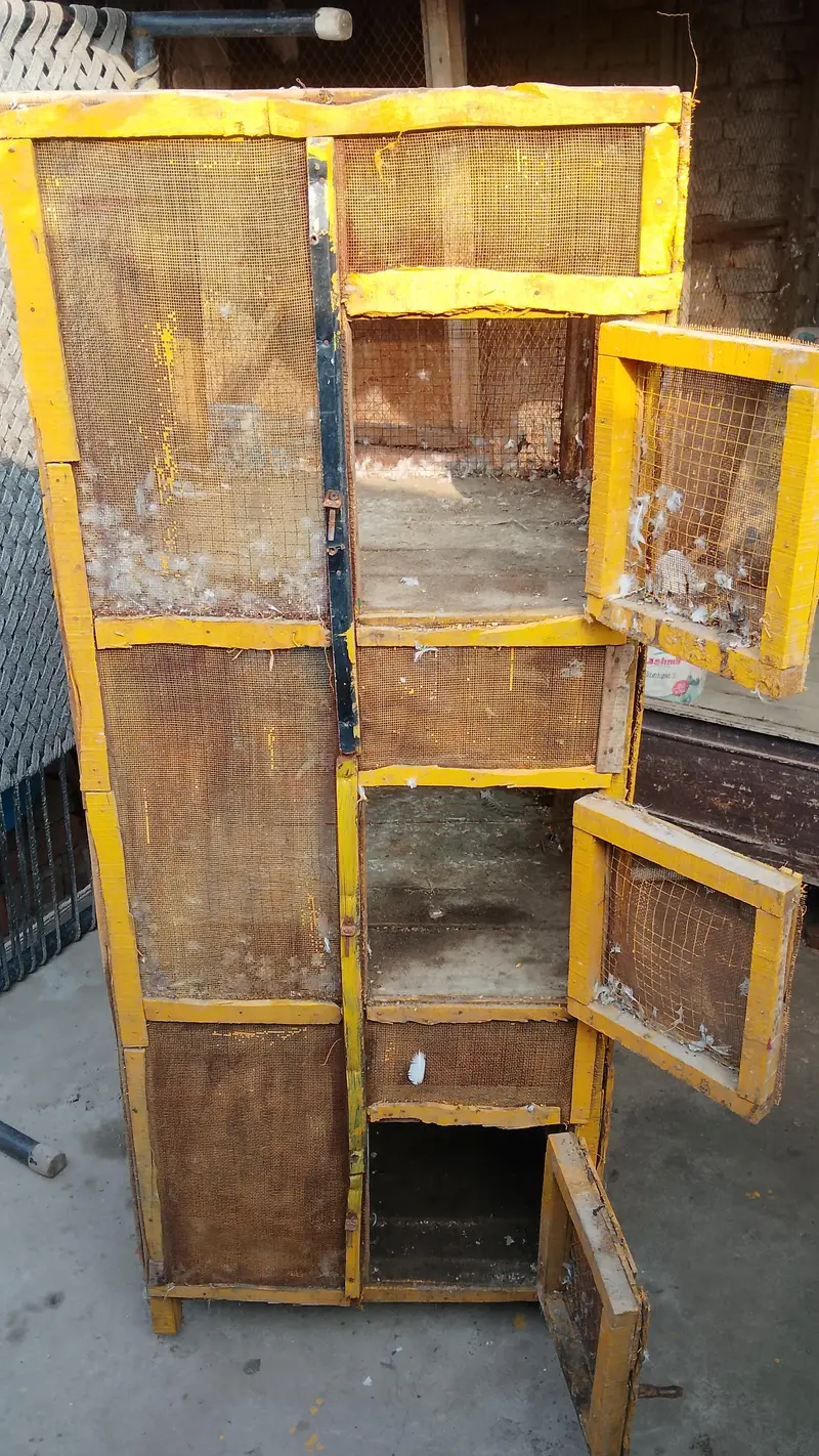 pigeon cage — photo 6