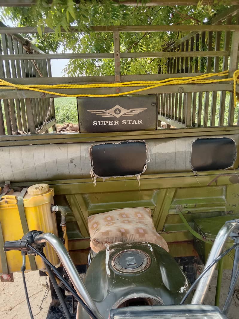 Loader Rickshaw 200cc 14