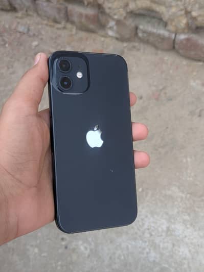 Apple iPhone 12