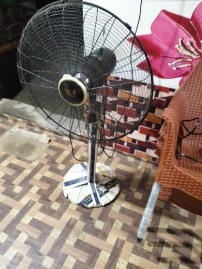 2 pedestal fan Pak fan