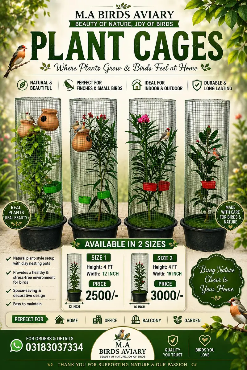 Trending Plant Cage — photo 2