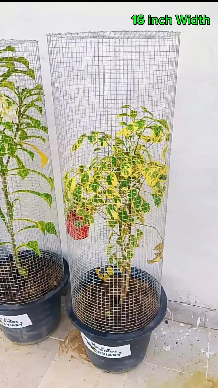 Trending Plant Cage — photo 6