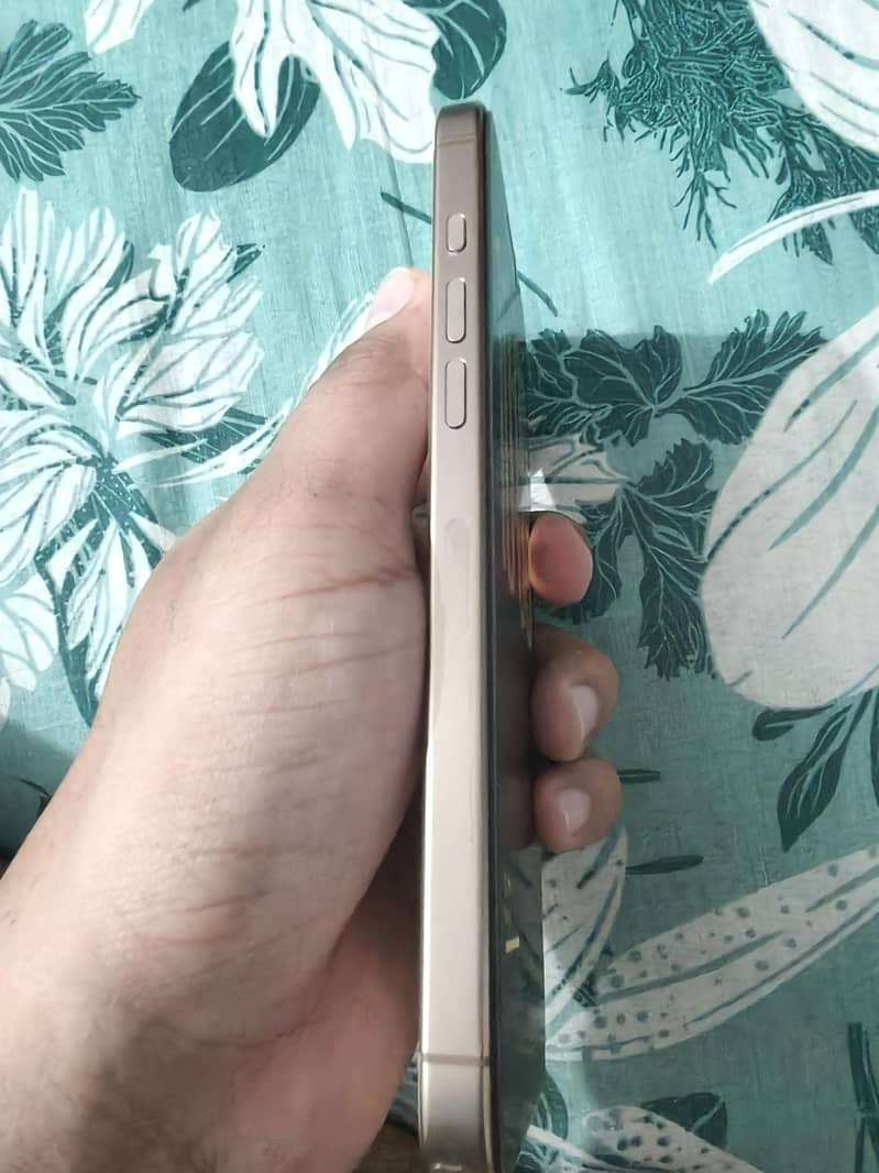 Apple iPhone 16 Pro Max 2
