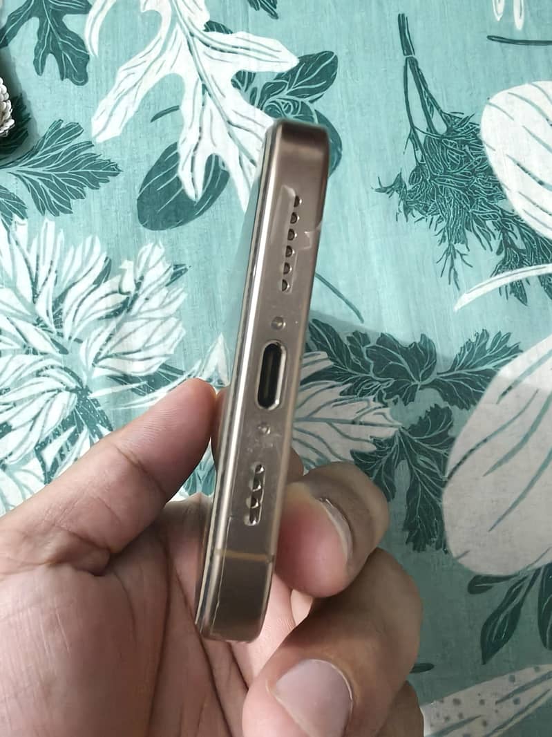 Apple iPhone 16 Pro Max 4
