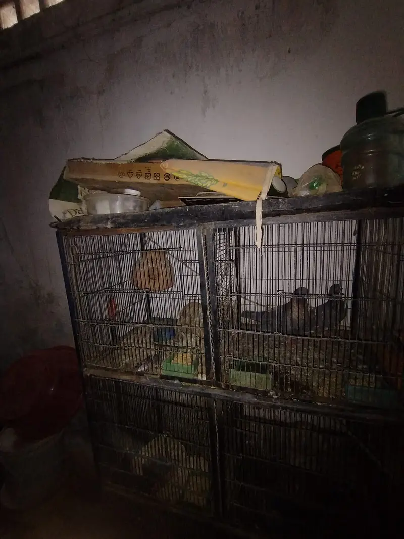6 portions cage for sale — photo 2