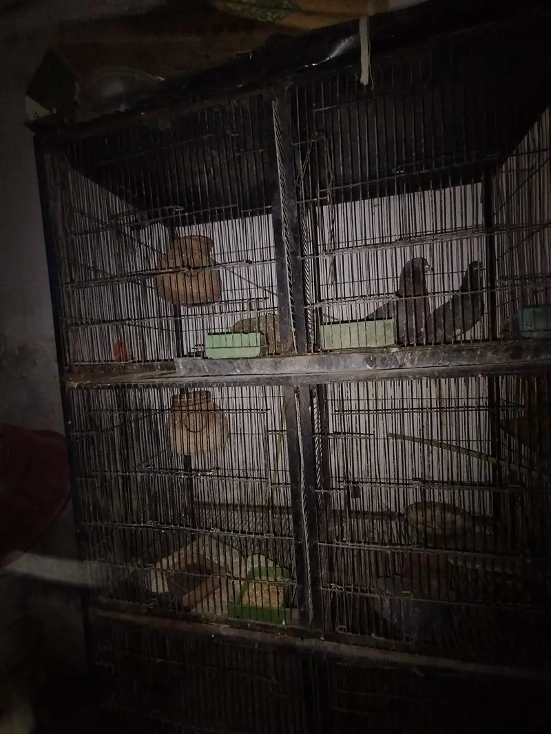 6 portions cage for sale — photo 3