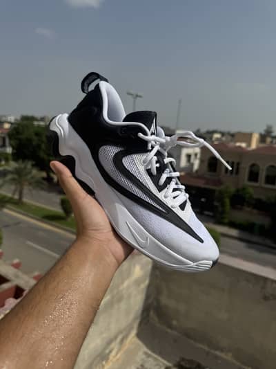 Nike giannis (Brand new) urgent sale shoes
