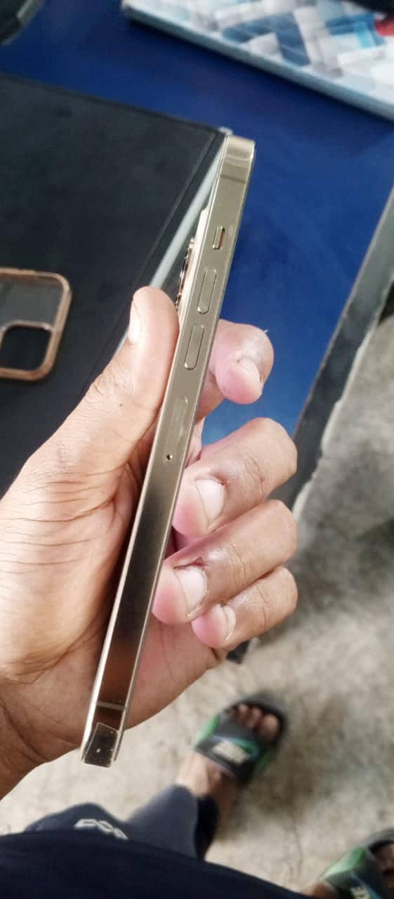 Apple iPhone 13 Pro Max 2