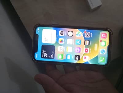 Apple iPhone X