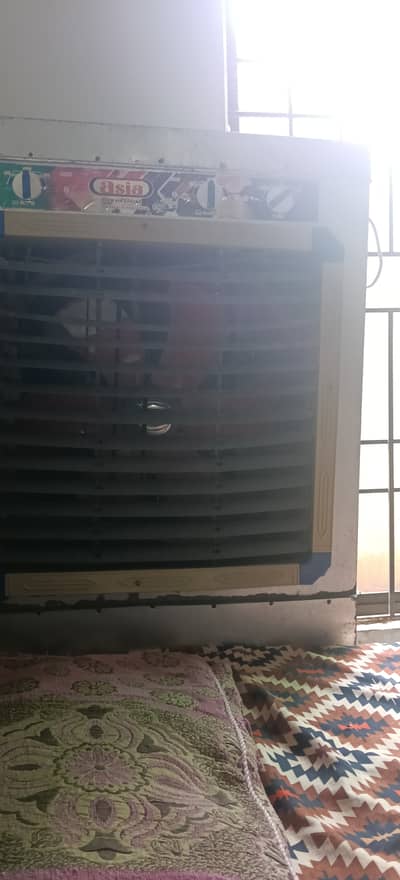 Room color