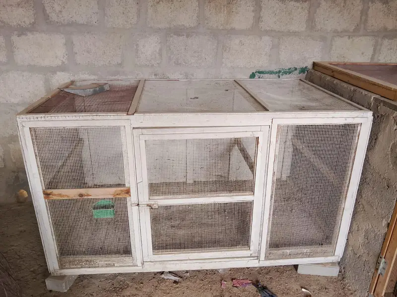 2 cages