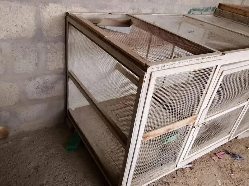 2 cages — photo 3
