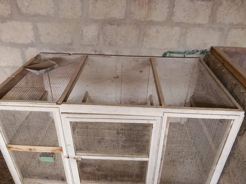 2 cages — photo 5