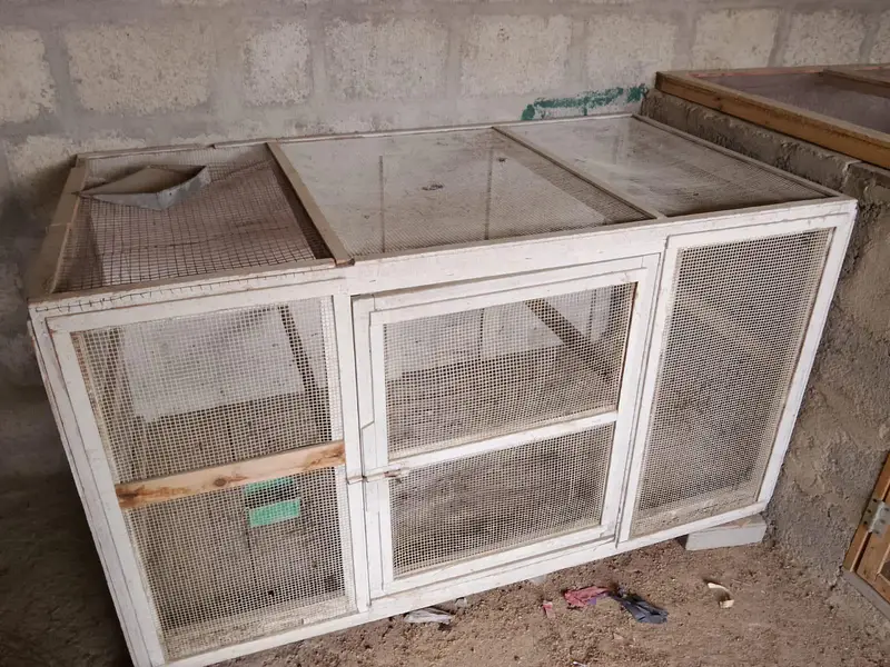 2 cages — photo 6