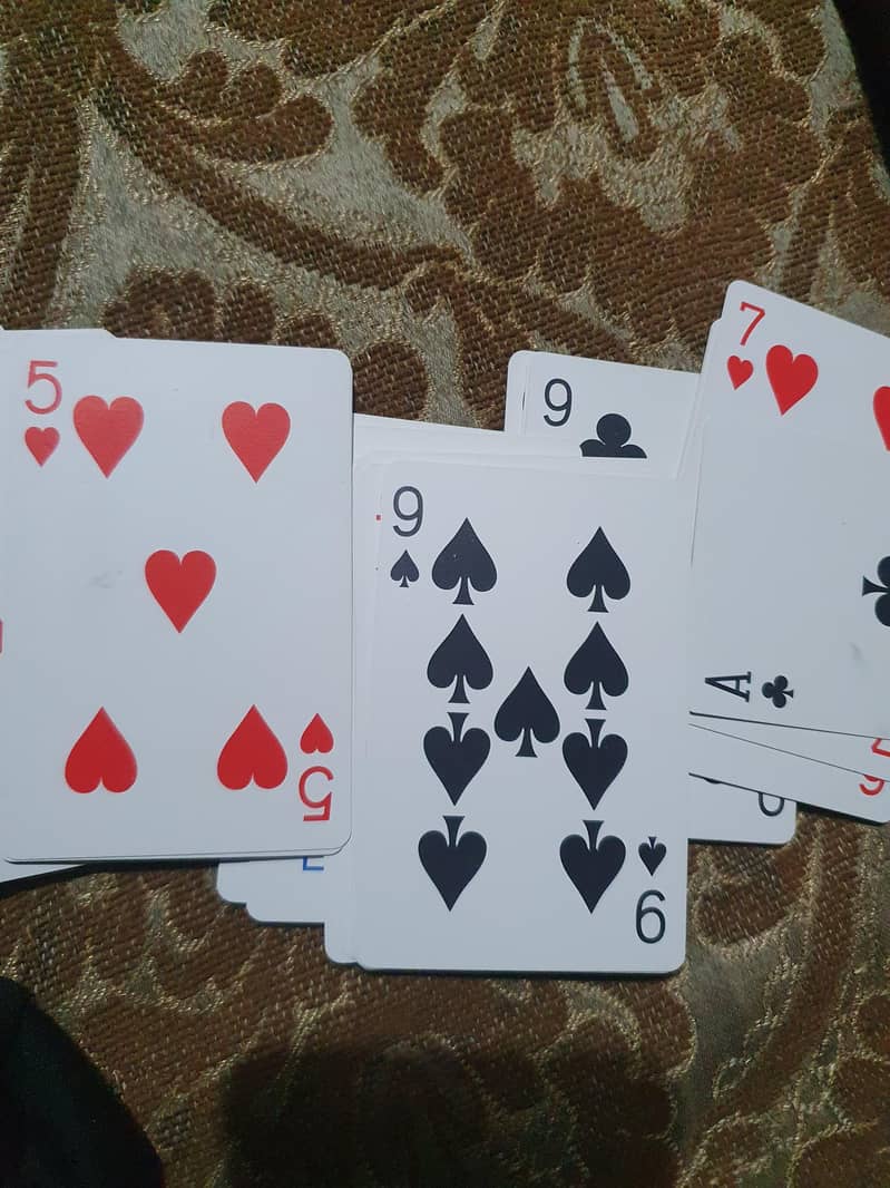cards,tash 2