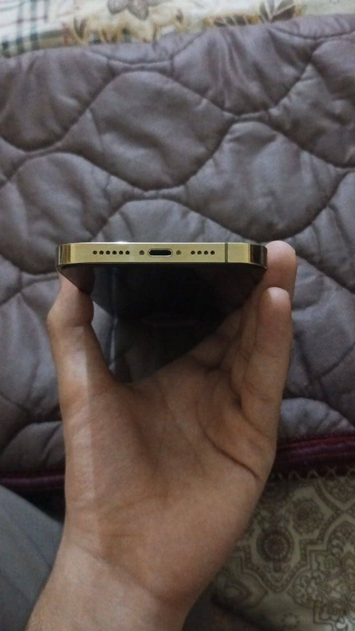 Apple iPhone 13 Pro Max 2
