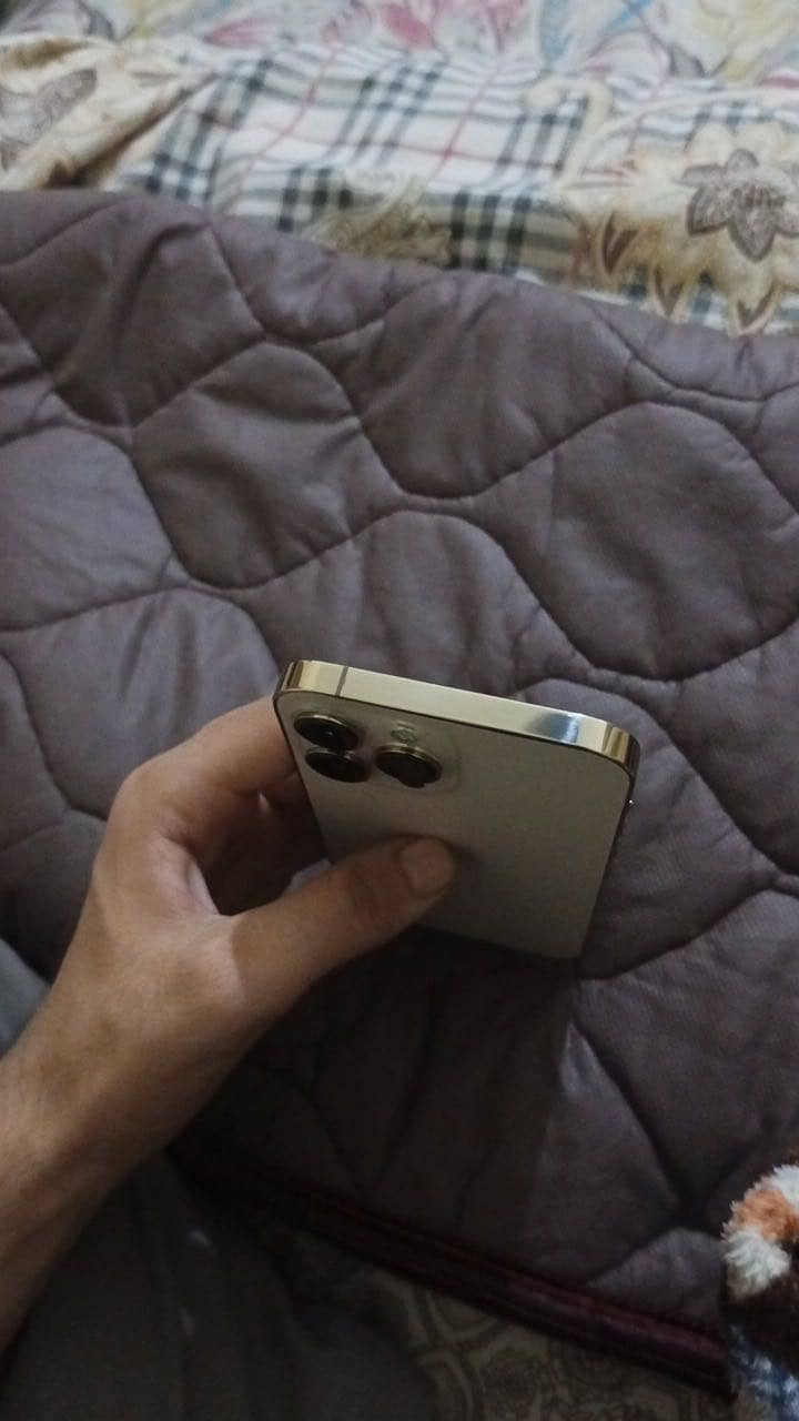 Apple iPhone 13 Pro Max 3