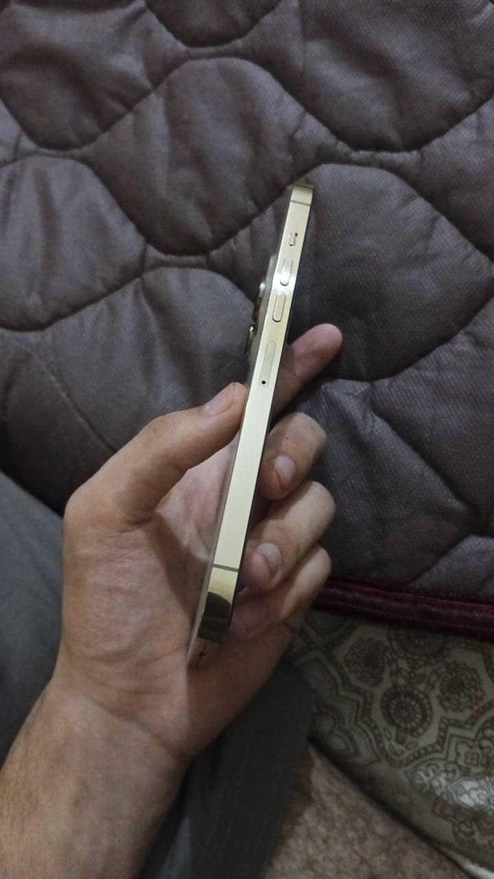 Apple iPhone 13 Pro Max 5