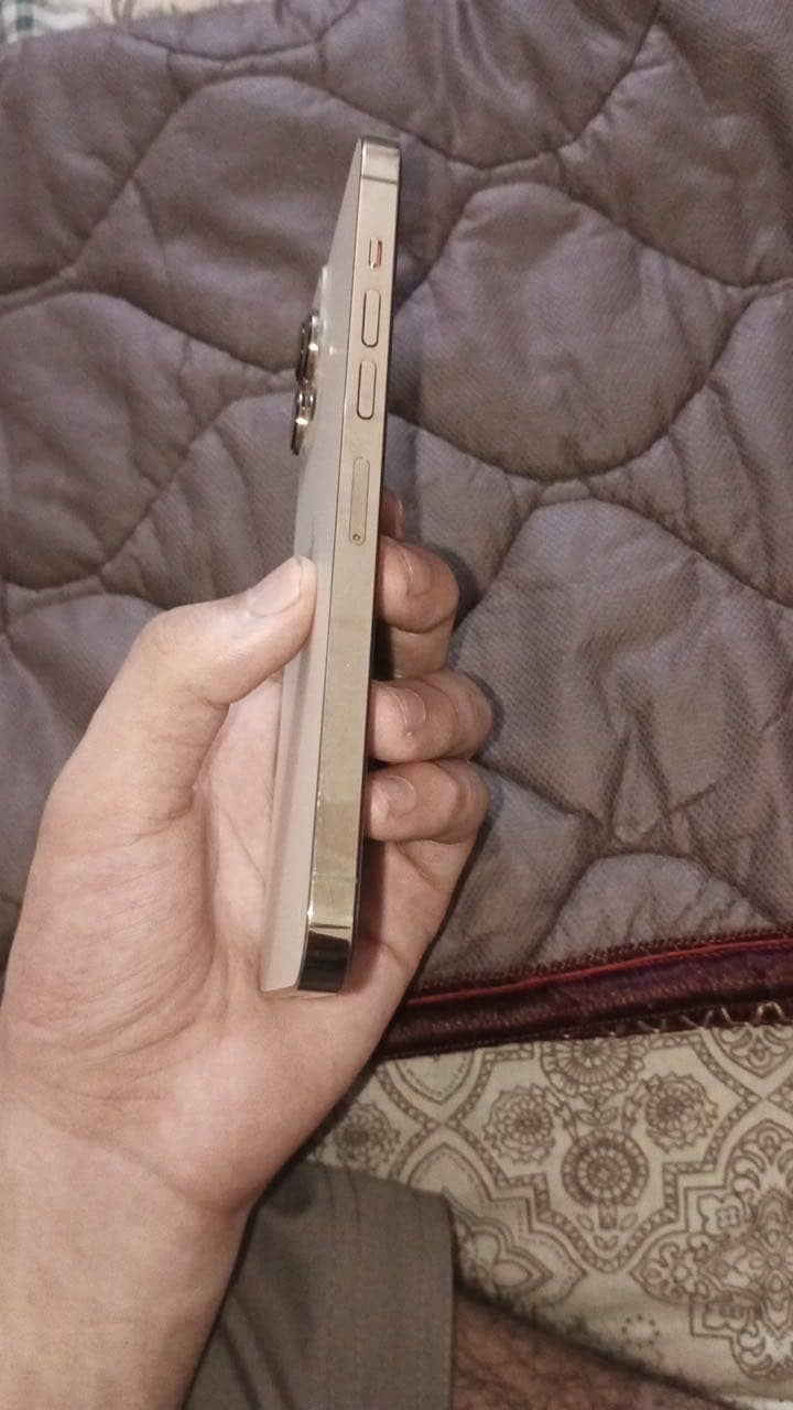 Apple iPhone 13 Pro Max 7