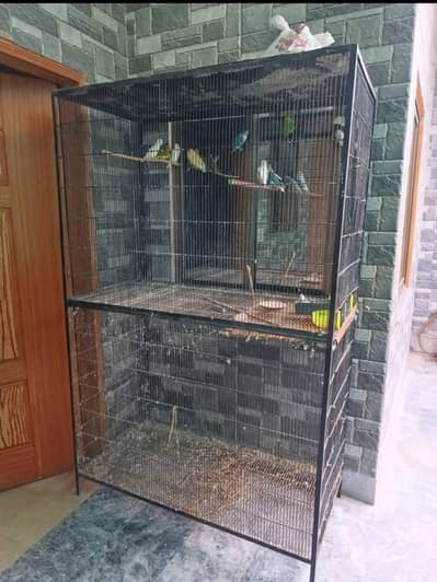 Cages for sale in Lahore