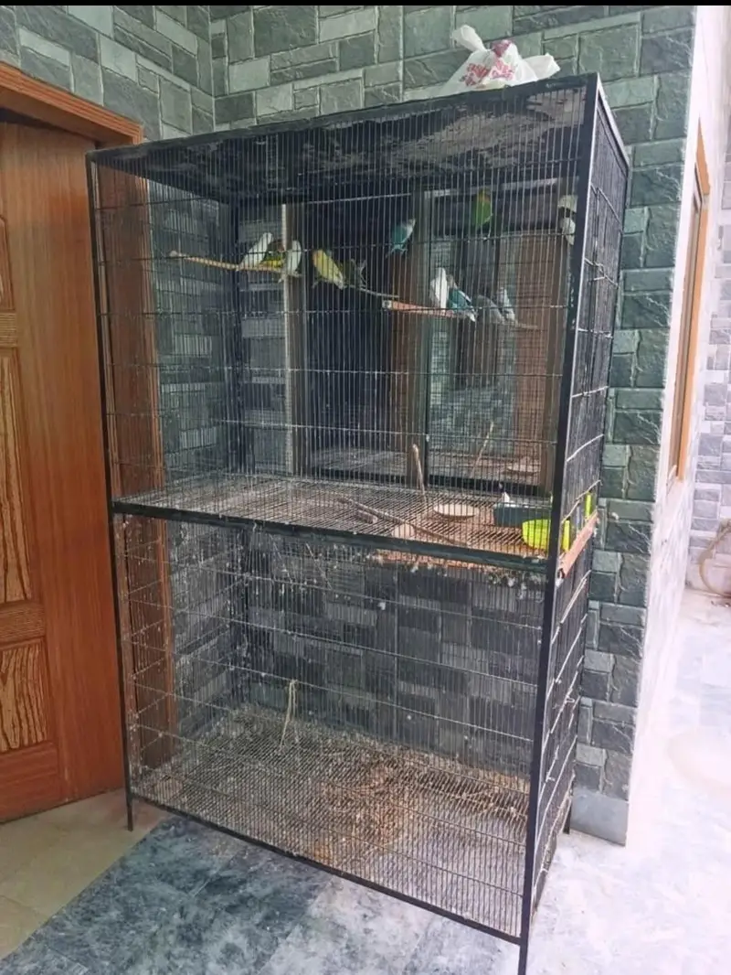 Cages for sale in Lahore