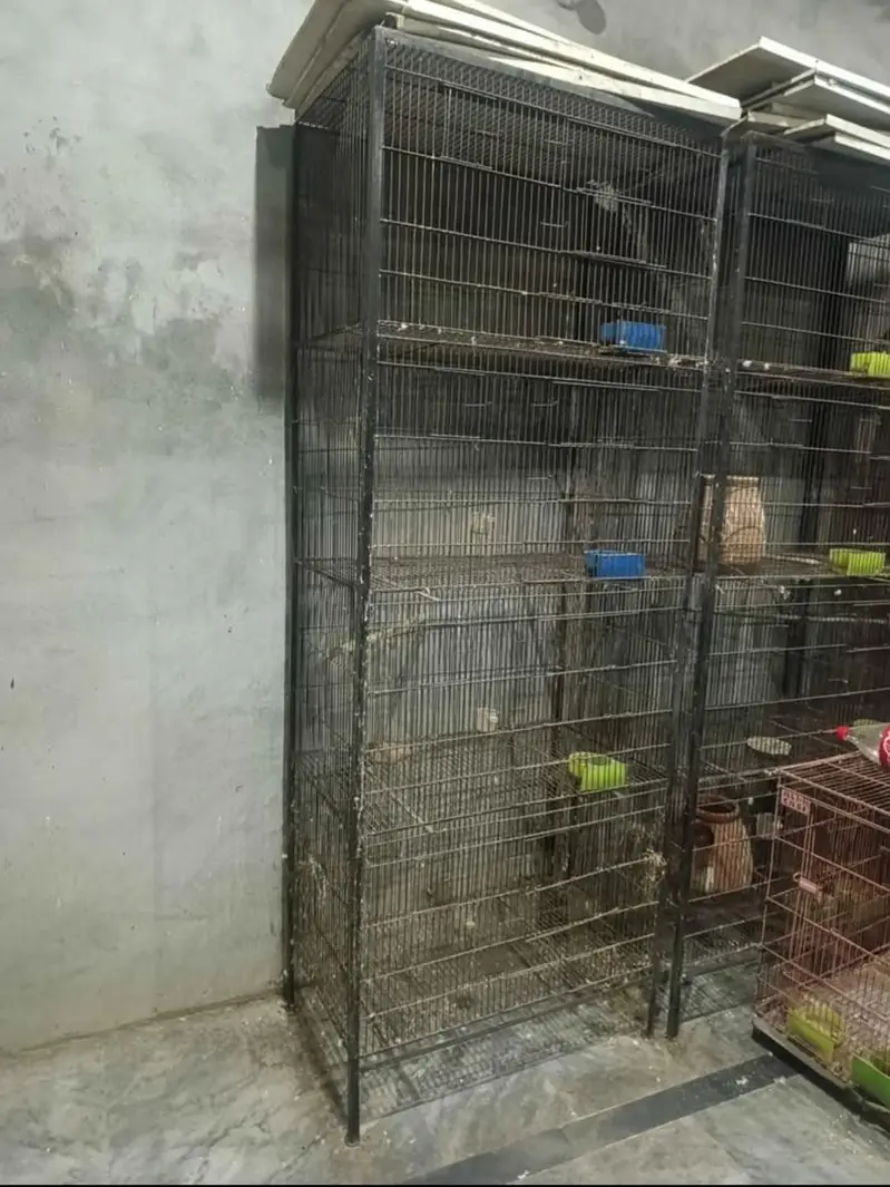 Cages for sale in Lahore — photo 2