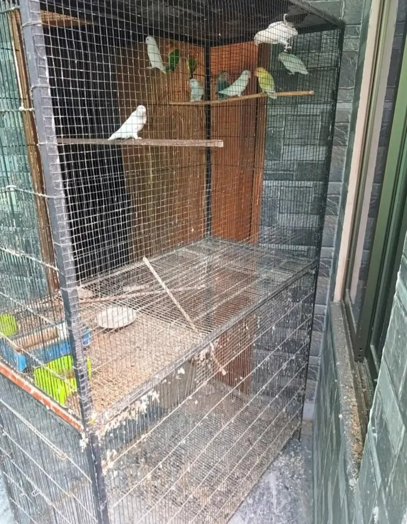 Cages for sale in Lahore — photo 3