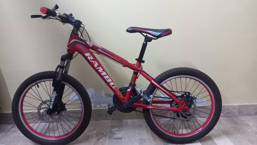 Bicycle 0