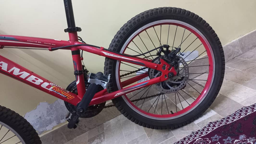 Bicycle 1