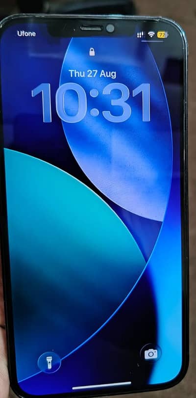 Apple iPhone 12 Pro Max