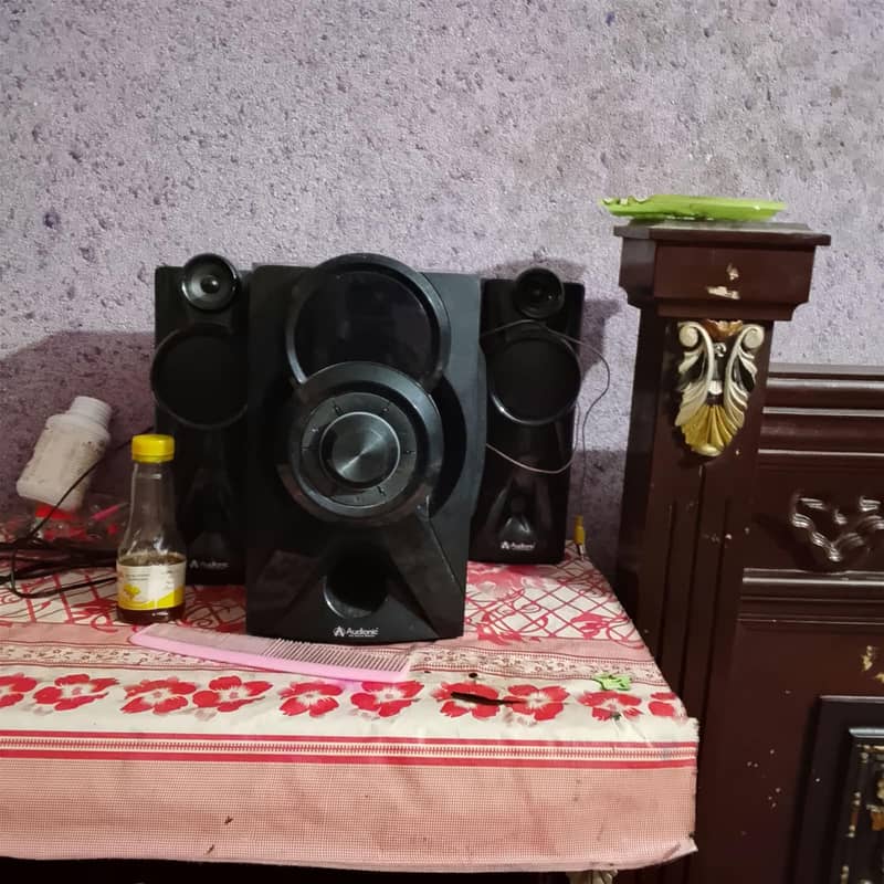 Original Audionic boofer 1