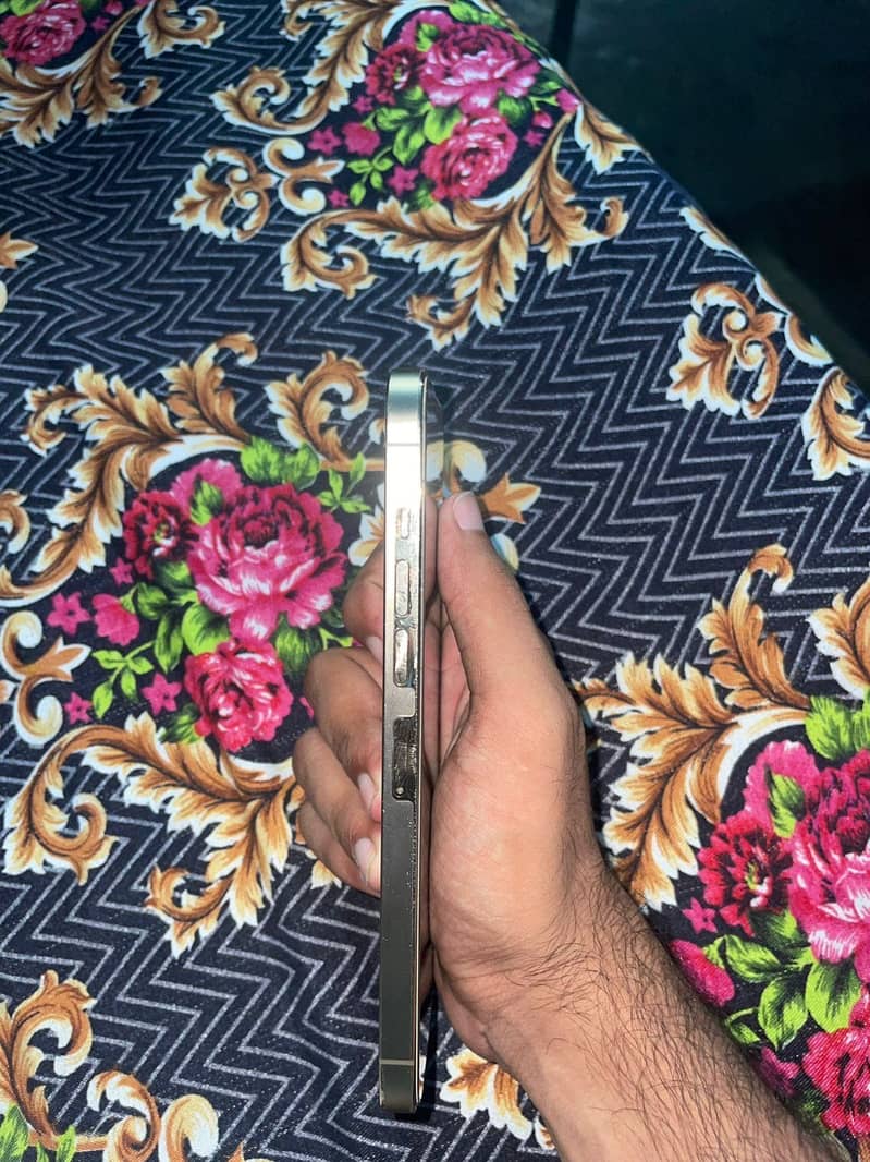 Apple iPhone 13 Pro Max 0